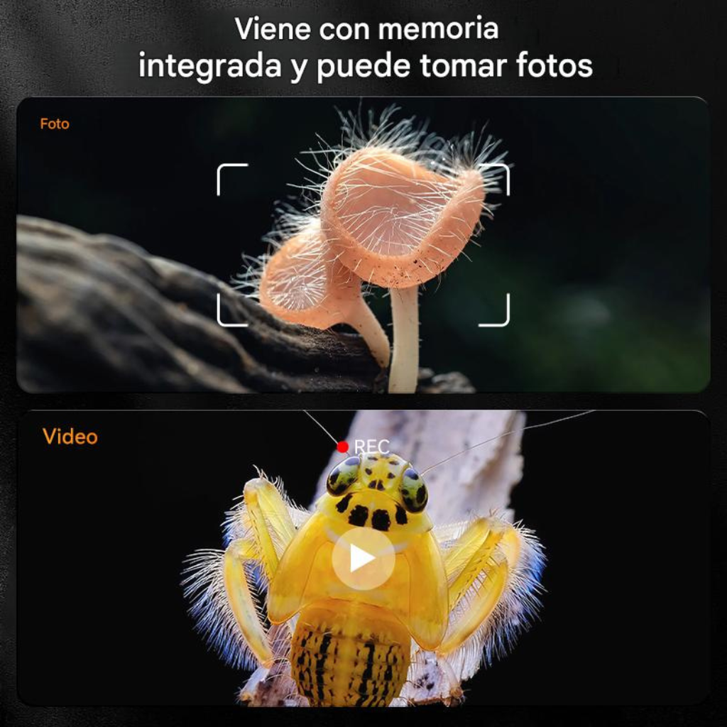 Microscopio Digital 1000X con Pantalla IPS HD™